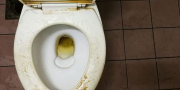 Tuvaletteki kireci zahmetsizce yok eden 4 pratik yöntem paylaşıldı