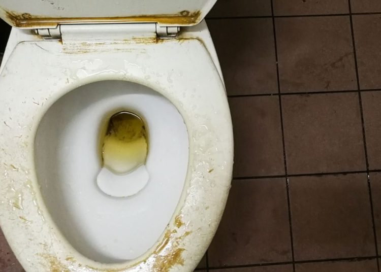 Tuvaletteki kireci zahmetsizce yok eden 4 pratik yöntem paylaşıldı